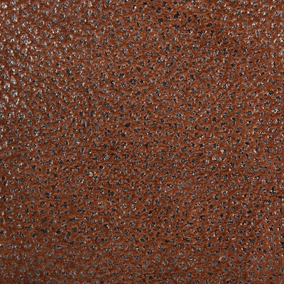 ���������� �����-����������