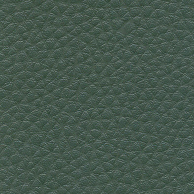 ������� ����� �������