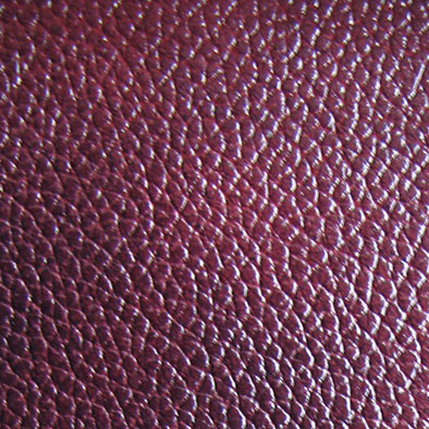 ���� ��������