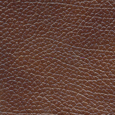 ���� ����������